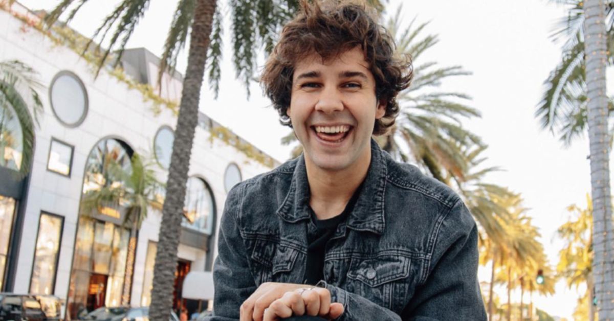 David Dobrik Internet success