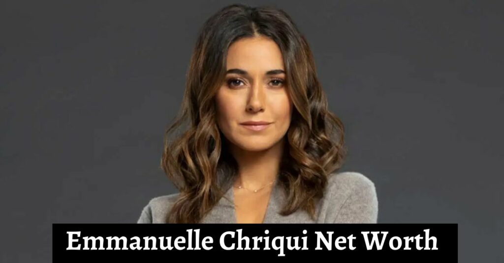 Emmanuelle Chriqui Net Worth