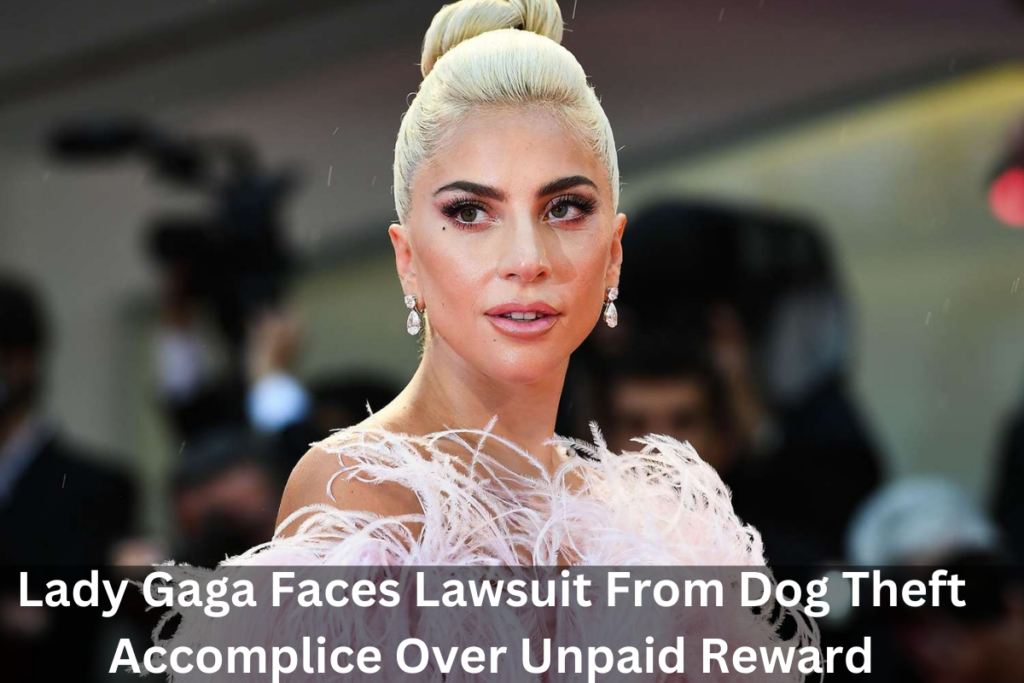 Lady Gaga Faces Lawsuit From Dog Theft Accomplice Over Unpaid Reward