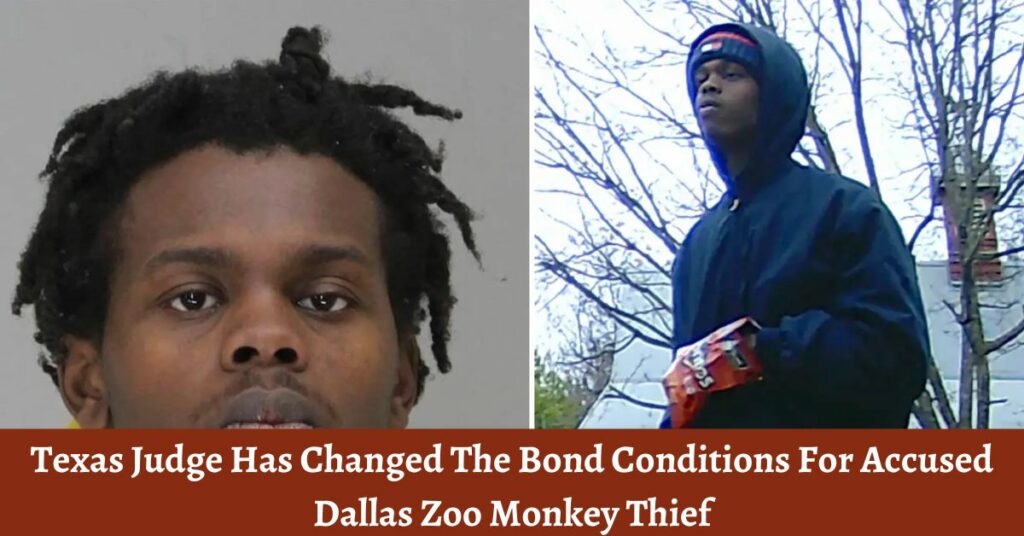 Texas Judge Has Changed The Bond Conditions For Accused Dallas Zoo Monkey Thief