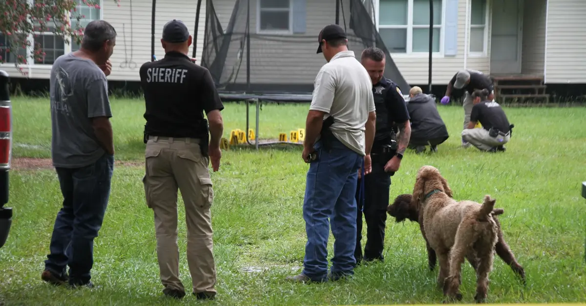 bones and skull found by dog