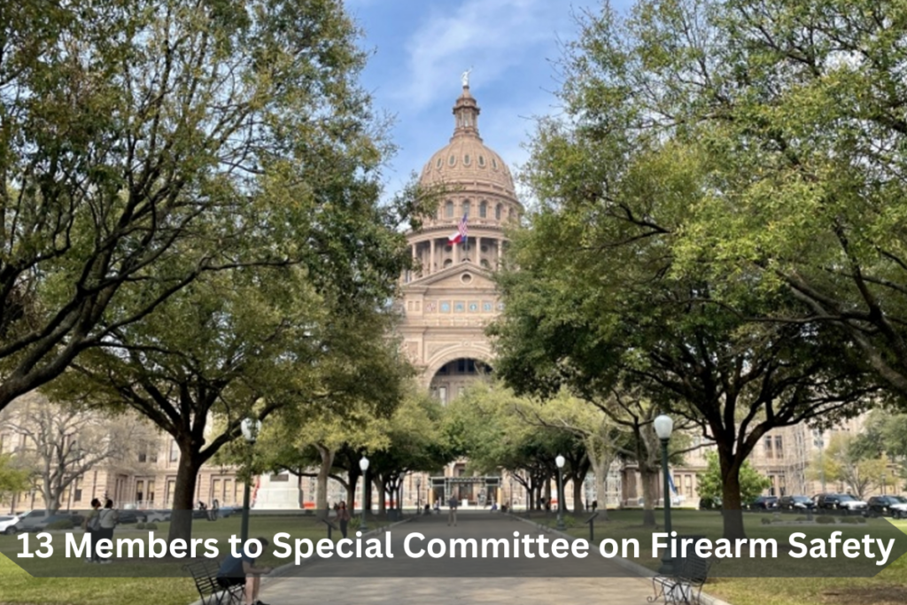 13 Members to Special Committee on Firearm Safety