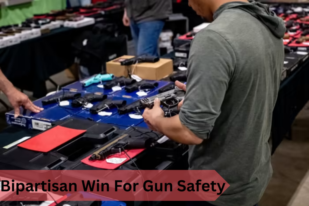 Bipartisan Win For Gun Safety