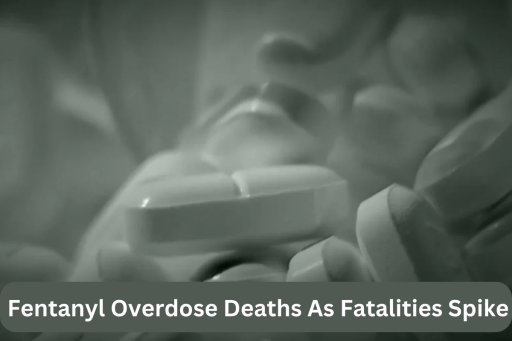 Fentanyl Overdose Deaths As Fatalities Spike