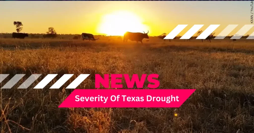 Exploring The Severity Of Texas Drought Which Areas Are Most Affected?