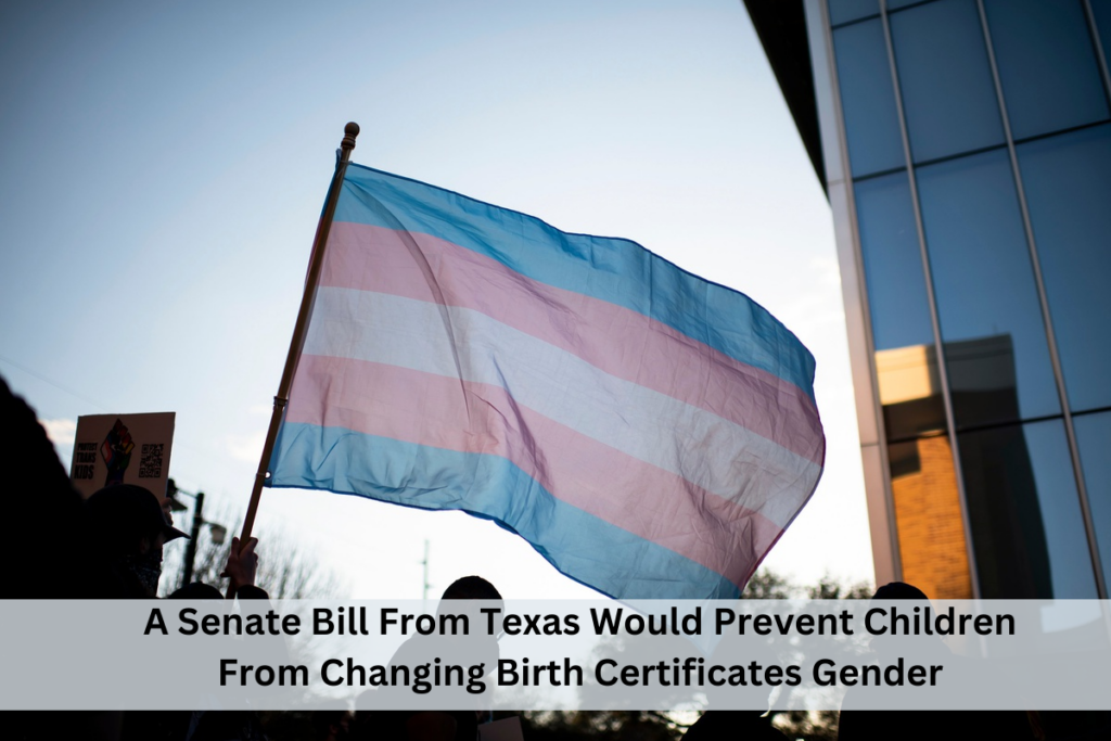 A Senate Bill From Texas Would Prevent Children From Changing Birth Certificates Gender