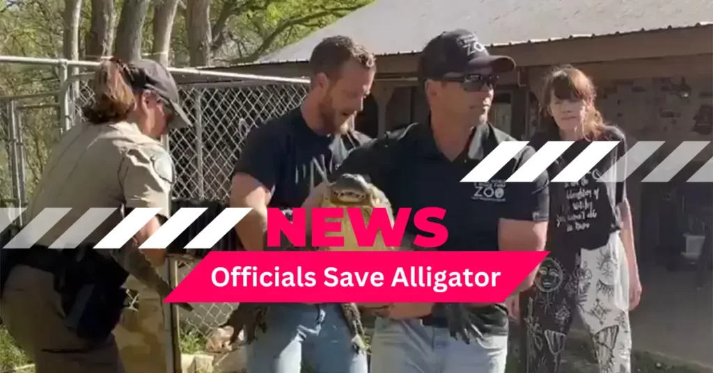 Texas Wildlife Officials Save Alligator From Decades-long Captivity In Backyard