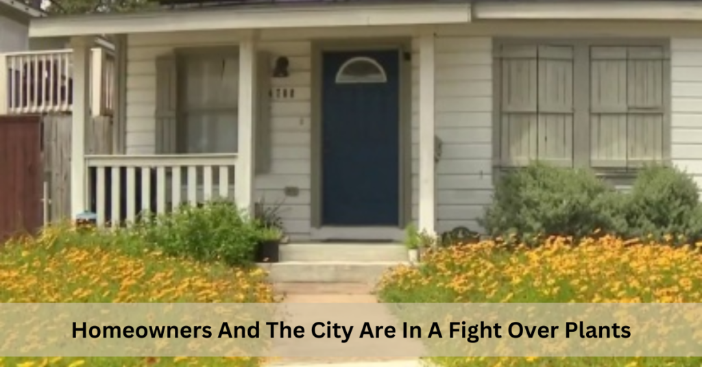 Homeowners And The City Are In A Fight Over Plants