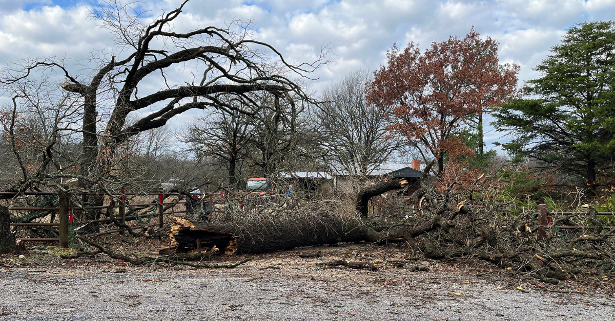 Southern Tornadoes Threaten Texas