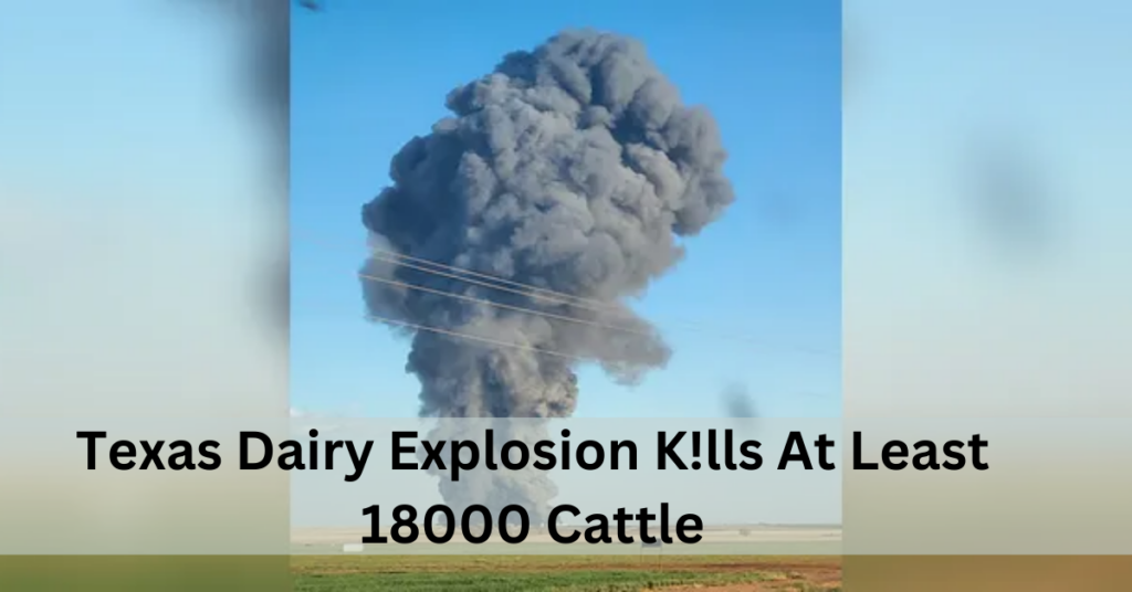 Texas Dairy Explosion K!lls At Least 18000 Cattle