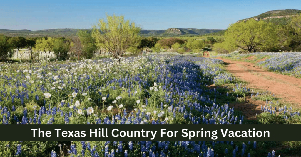 The Texas Hill Country For Spring Vacation