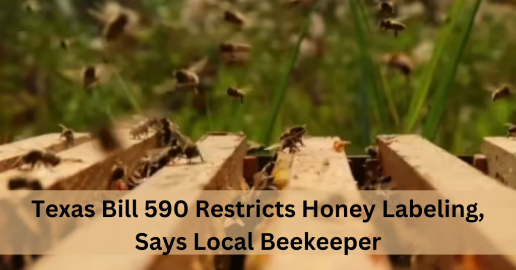 Texas Bill 590 Restricts Honey Labeling