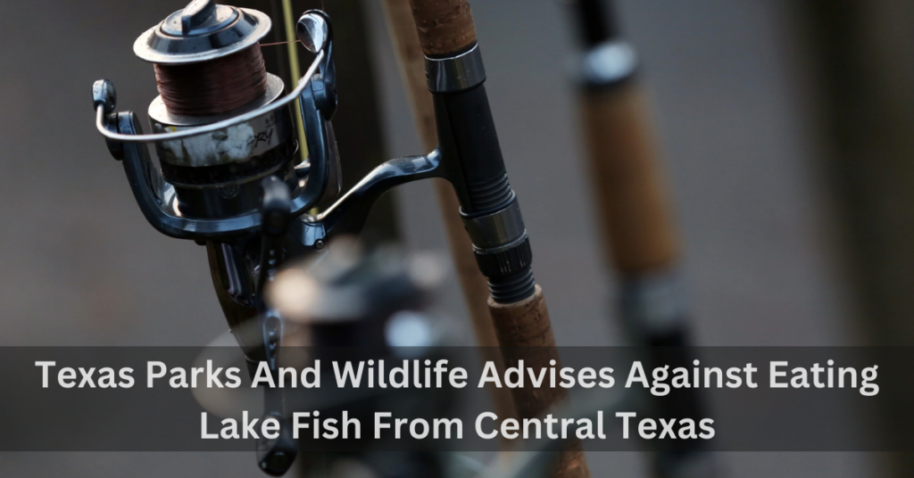 Texas Parks And Wildlife Advises Against Eating Lake Fish From Central Texas