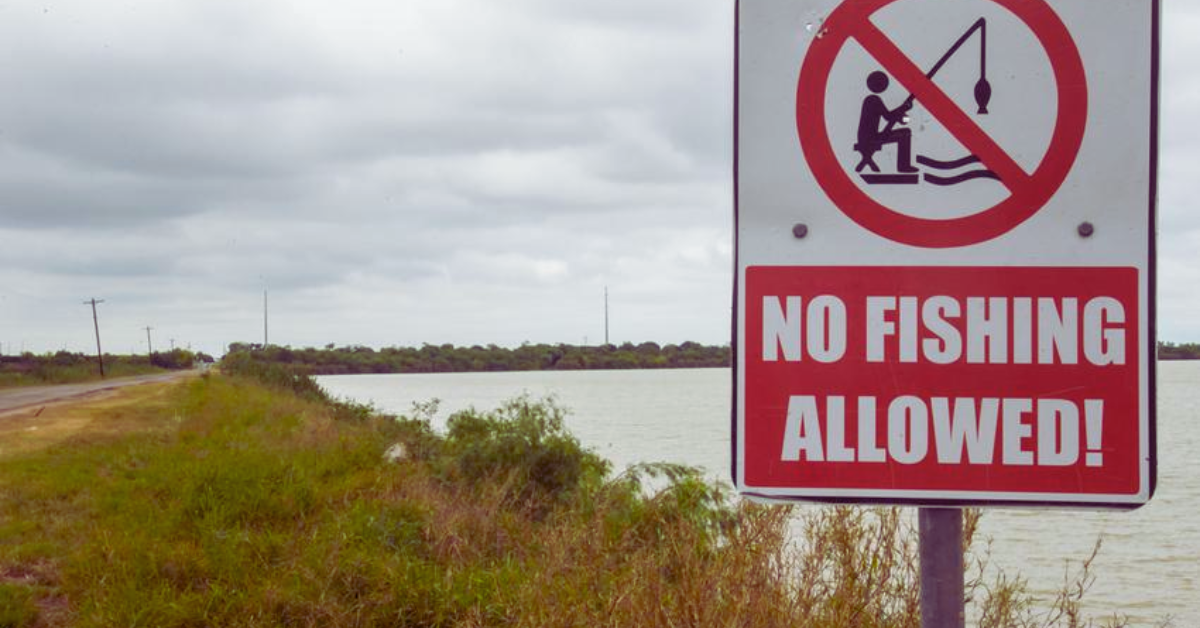 Texas Parks And Wildlife Advises Against Eating Lake Fish From Central Texas