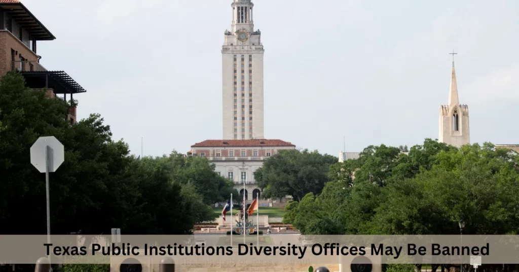 Texas Public Institutions Diversity Offices May Be Banned