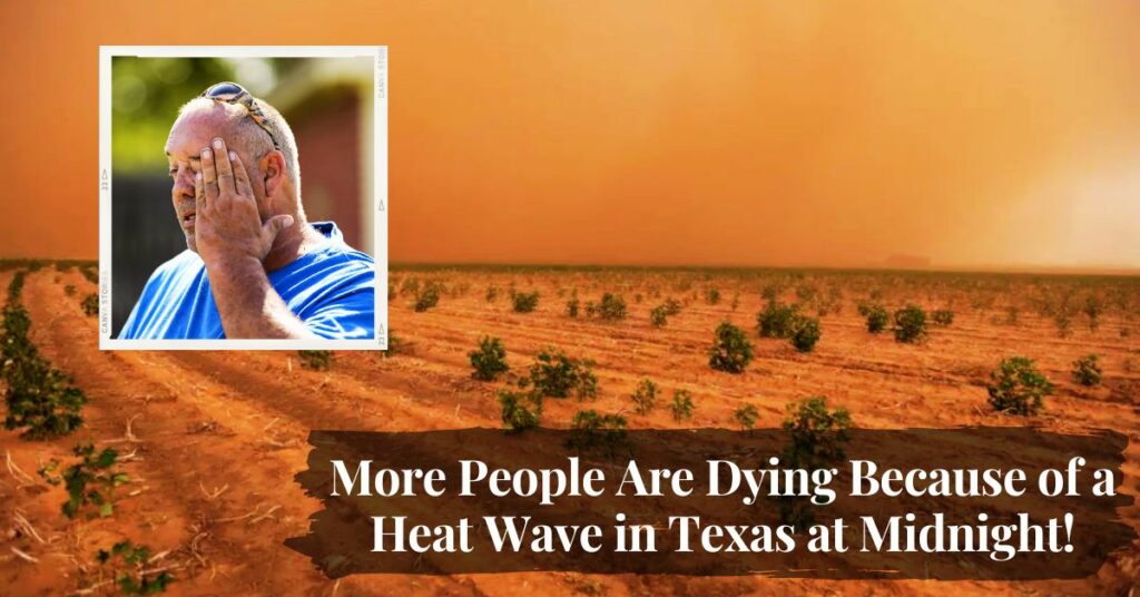 More People Are Dying Because of a Heat Wave in Texas at Midnight!