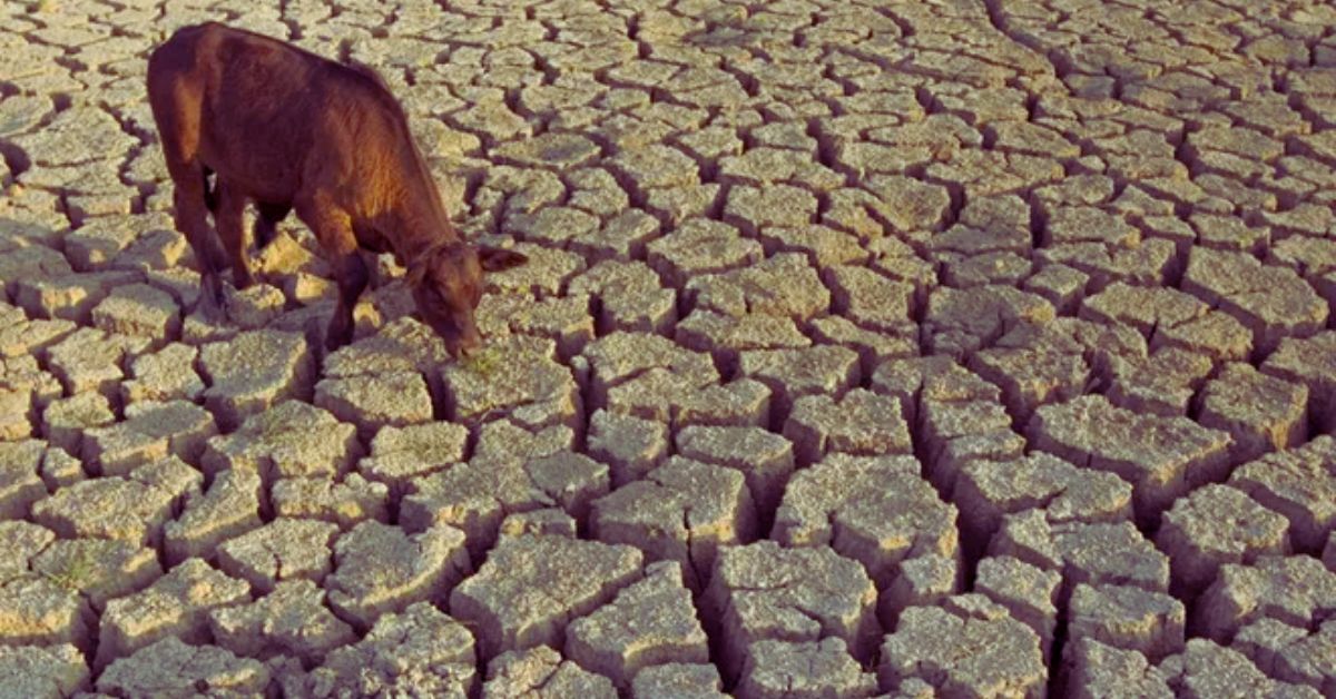 Drought Across Texas Worsens With No Rainfall In Sight